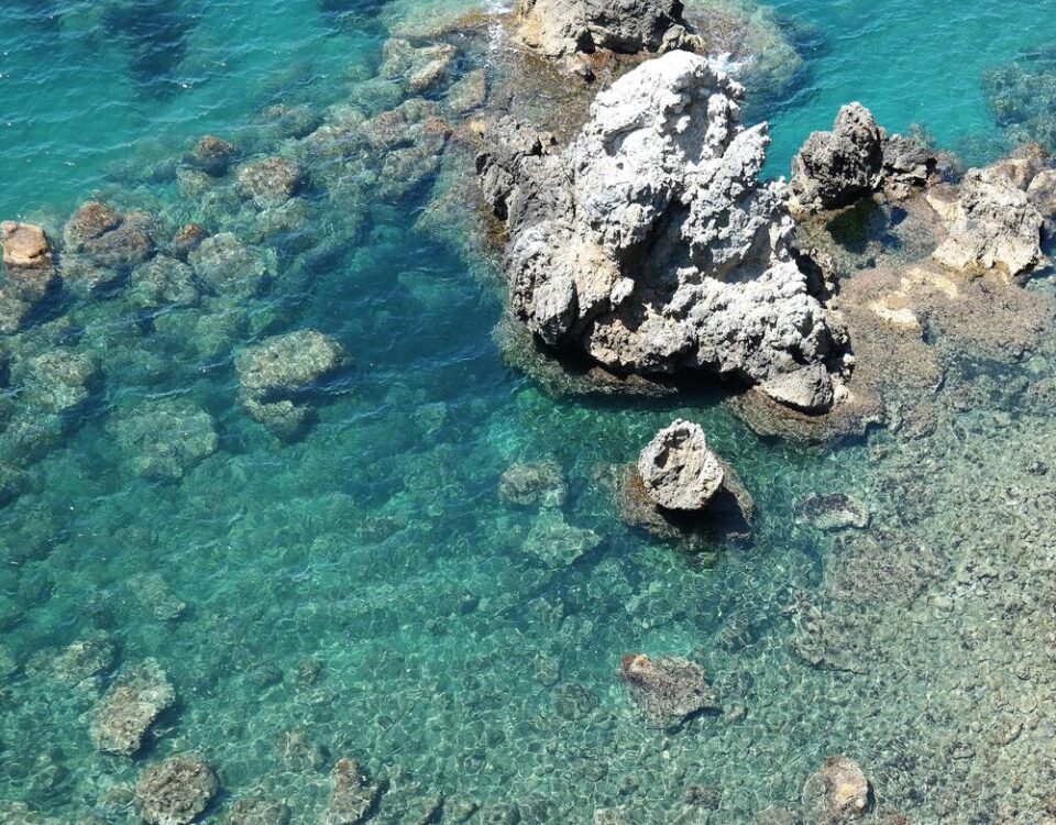 flora e fauna dell'arcipelago delle Pelagie